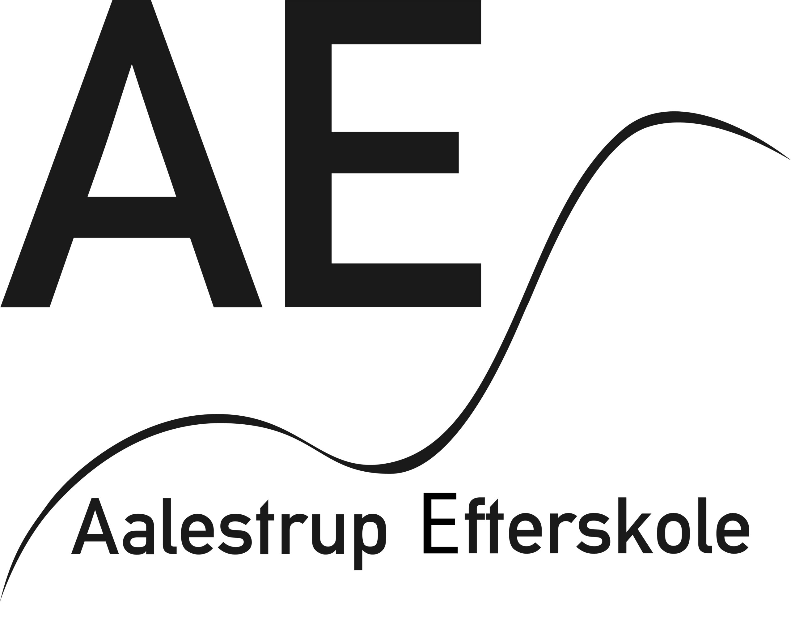 ANE logo_ny